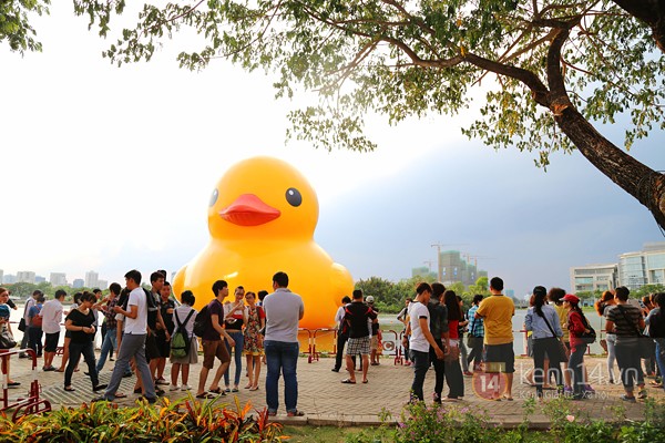 One day of Rubber Duck in Vietnam from early morning to sunset