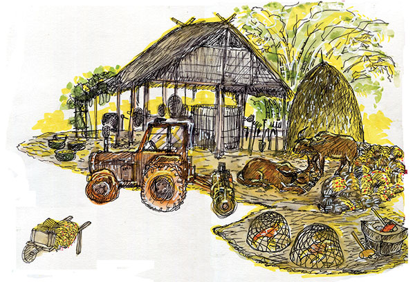 Theme of Phu My Hung Spring Flower Festival “Flowers and Grass of the Country” Lunar New Year 2015