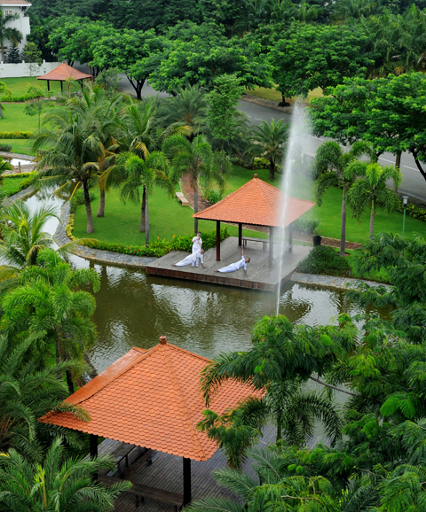 Đưa không gian xanh vào môi trường sống