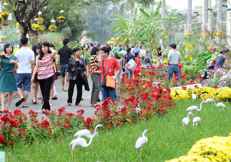 Hội chợ hoa xuân và tâm sự nhà vườn