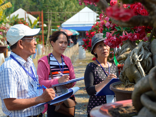 Hội chợ Hoa Xuân Phú Mỹ Hưng 2016: Tôn vinh nét đẹp ‘Hoa đồng cỏ nội’