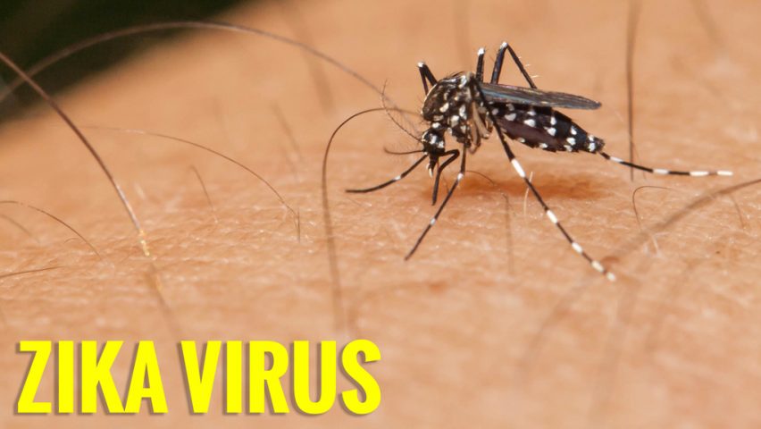 Khuyến cáo phòng chống sốt xuất huyết và vi rút Zika