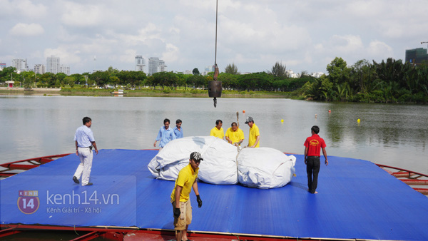 Những hình ảnh đầu tiên của chú vịt vàng khổng lồ tại Việt Nam