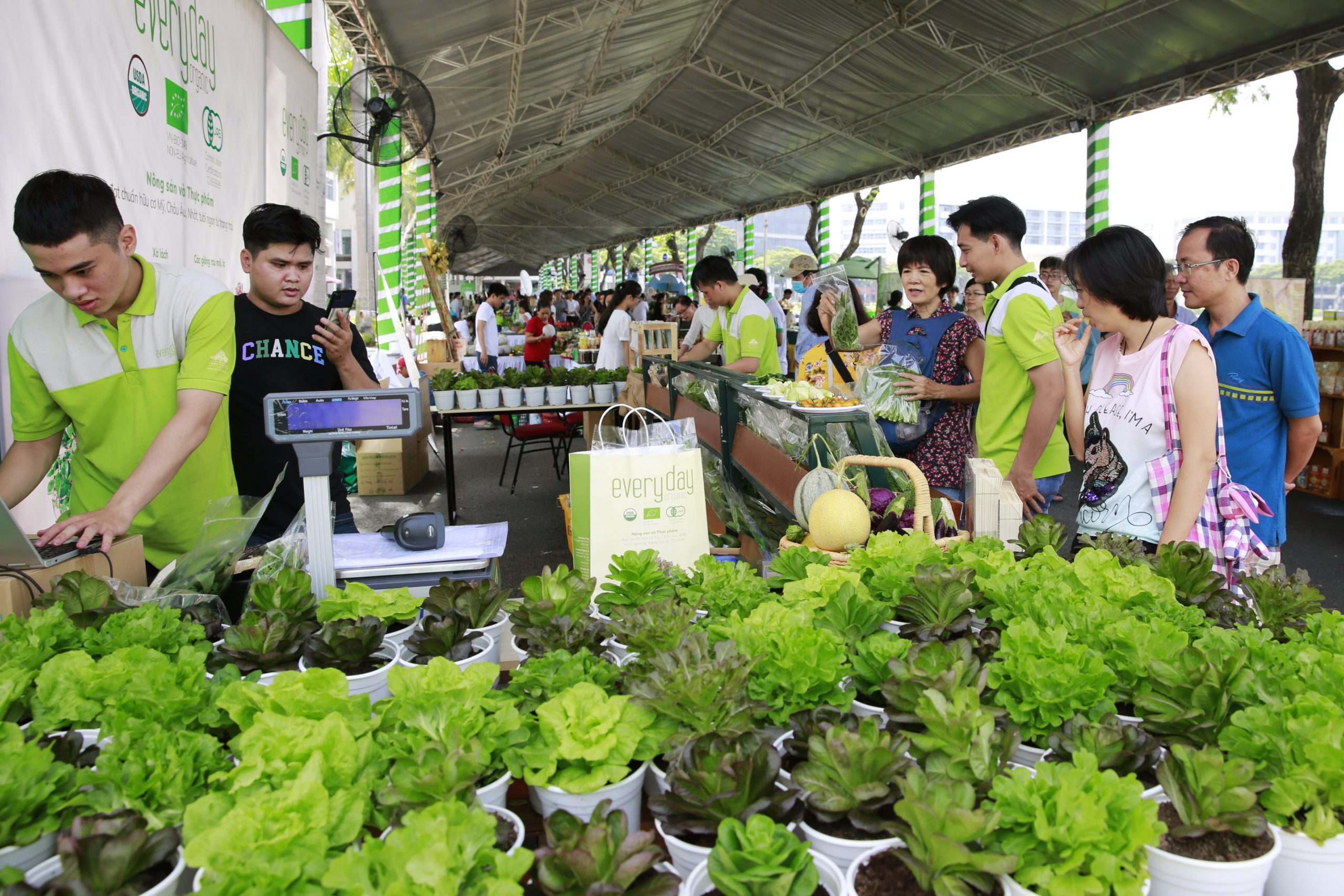 Mô hình trồng rau sạch được giới thiệu tại Ngày hội năm 2019 (1)