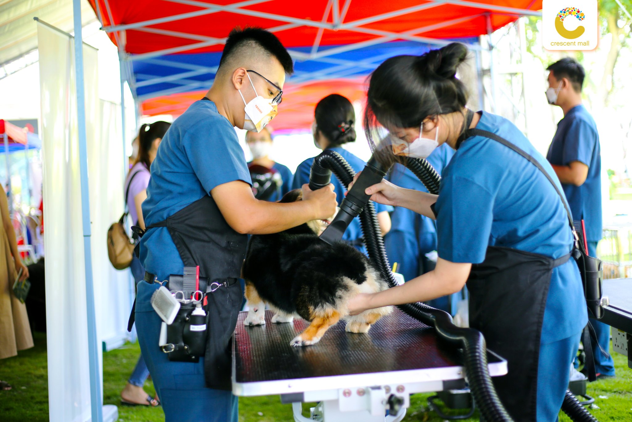 487828160_9870166153014891_2783513588836661446_n