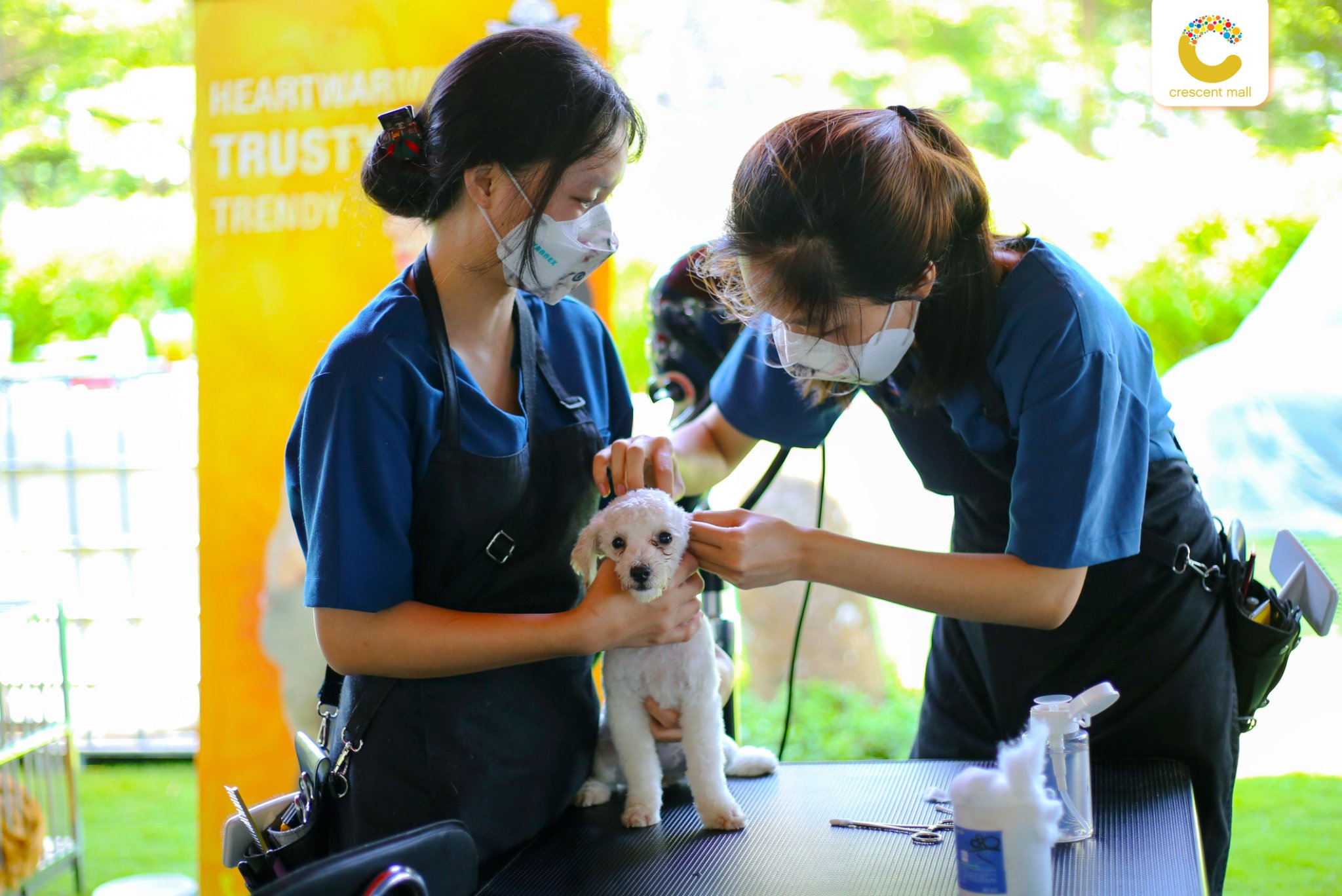 488009453_9870165806348259_608817733557699835_n