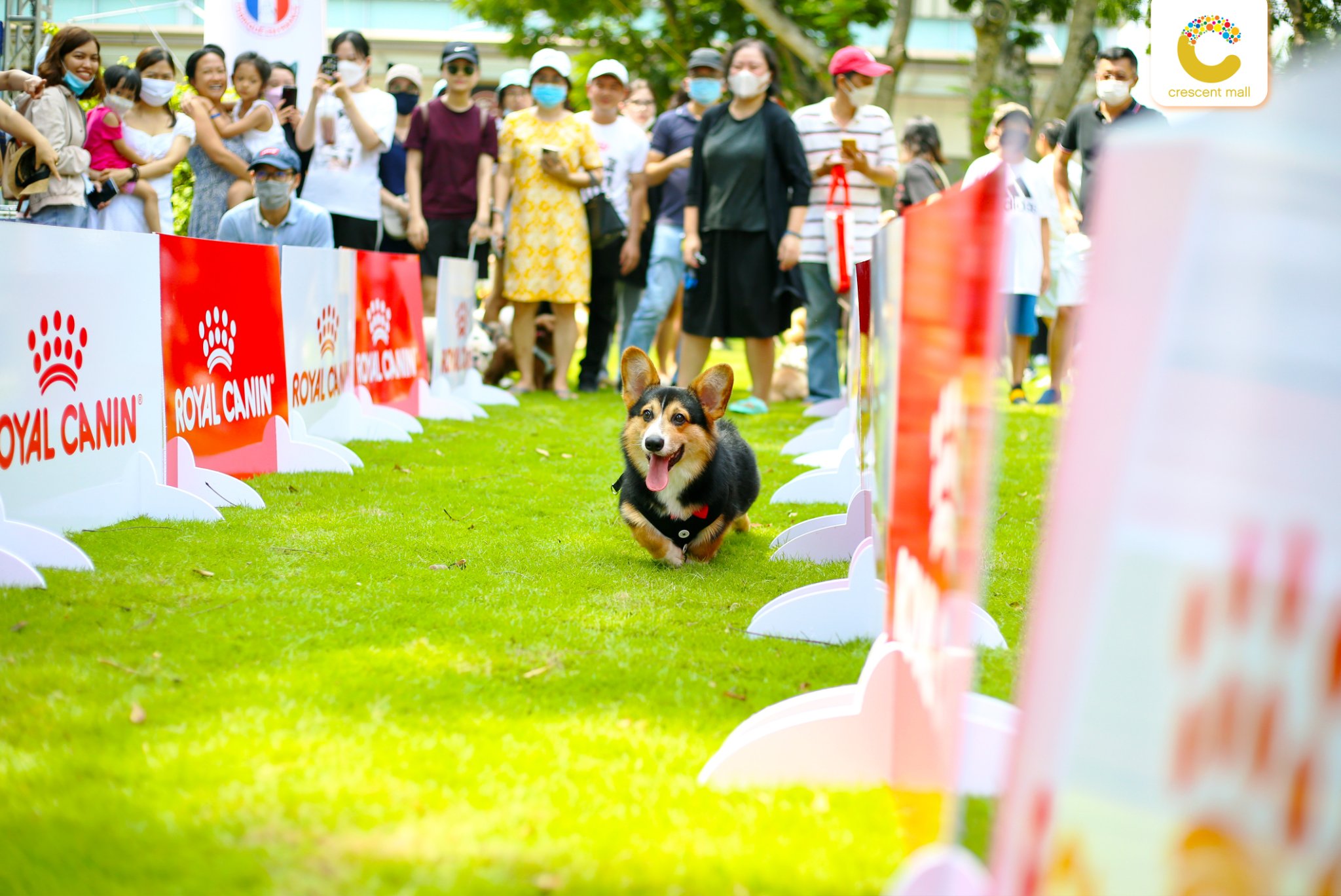 488394462_9870166089681564_2417792518913057410_n