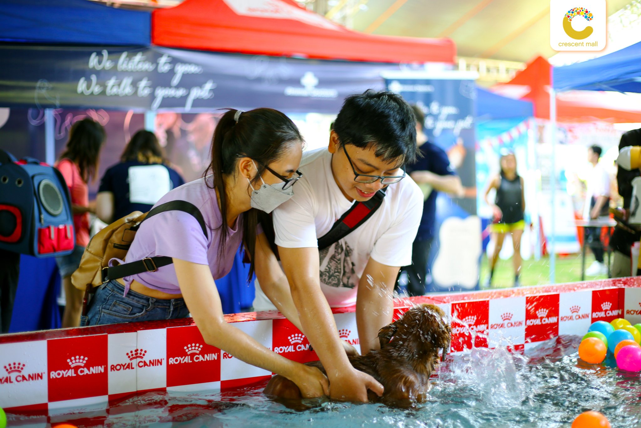 488608918_9870165719681601_3764258597472734429_n